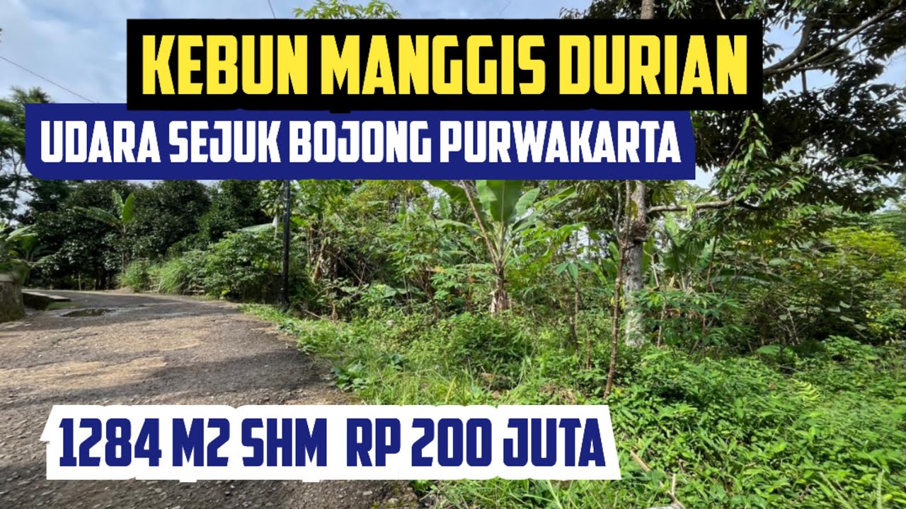 Jual Murah Tanah Kebun Dekat Pemukiman Penduduk Luas 1284 m2 Rp 200 Juta di Bojong Purwakarta 