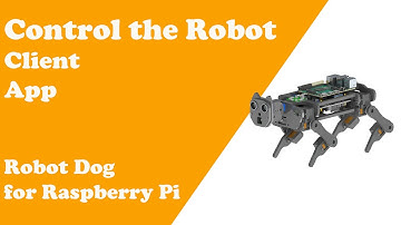 Chapter 4 Control the Robot Freenove Robot Dog for Raspberry Pi