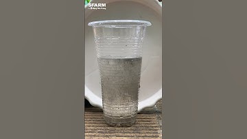 Bảo vệ bộ rễ, kích cây phát triển với Trichoderma plus Humic SFARM  #sfarm #gardening #đặnggiatrang