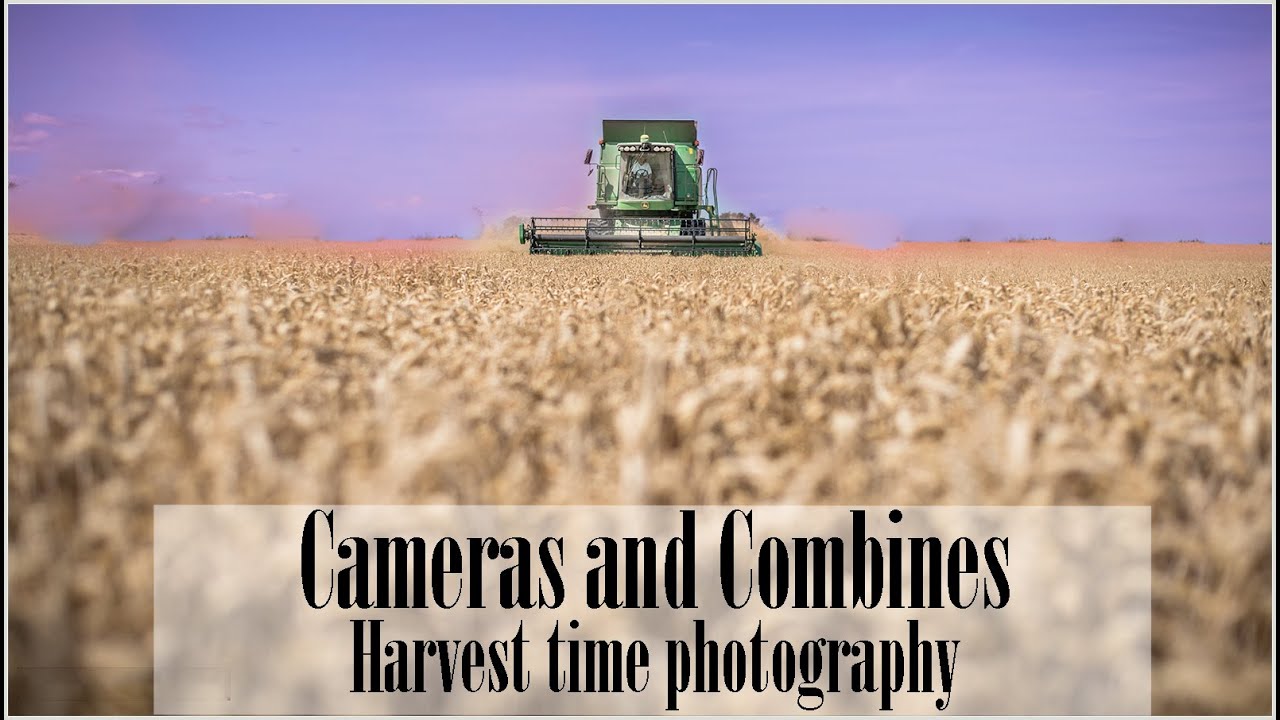 Cameras and Combines, Harvest time  photography
