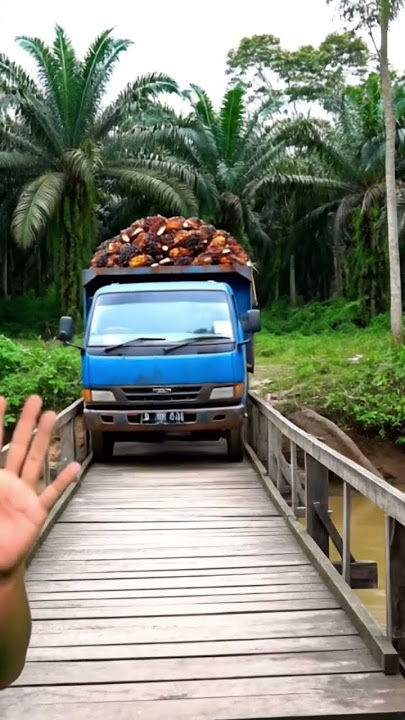 Truk bermuatan kelapa sawit terjun ke sungai #kelapasawit  #truck #sawit #palmoil