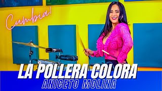 LA POLLERA COLORA - ANICETO MOLINA (Timbales Interpretation Elisabeth Timbal)