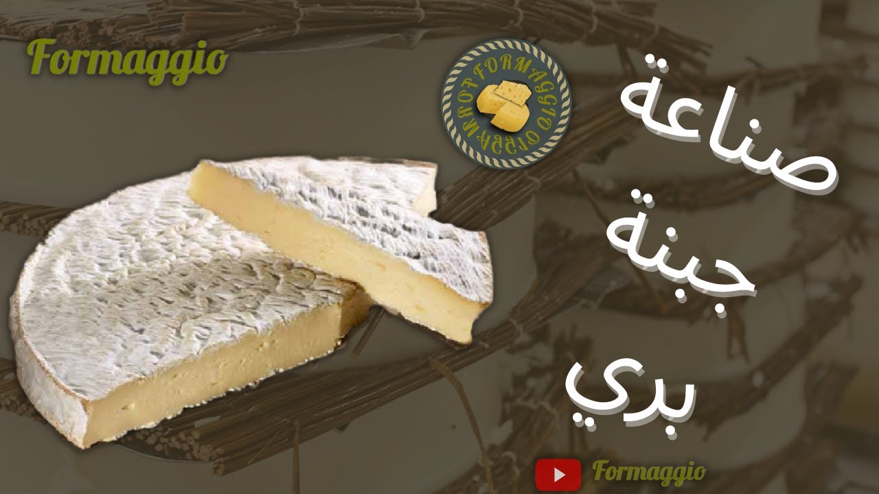 الفرق بين جبنة بري و جبنة كامامبير  #كيفية_صنع_الجبنة camembert  #brie_cheese#