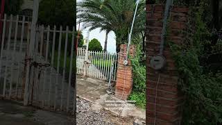 descubriendo jalisco México #conocer #mexico