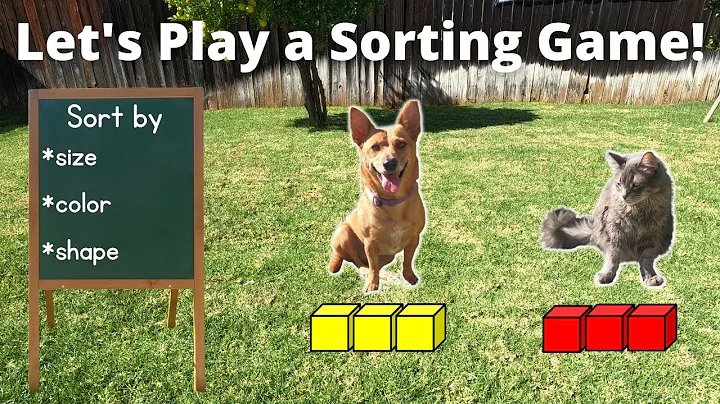 Professor Ginger and Axle Play a Sorting Game - Sorting by Color, Size, and Shape -    4K