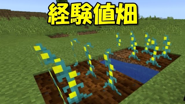 マインクラフトpe Mod 経験値を育てる V0 14 1 Youtube