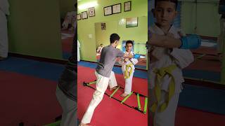 Little Champ Learning the Basics of Karate 🥋 #karate #littlechamps #champion