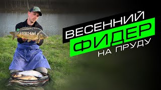 Ловля карпа и амура весной / Рыбалка на flat и фидер