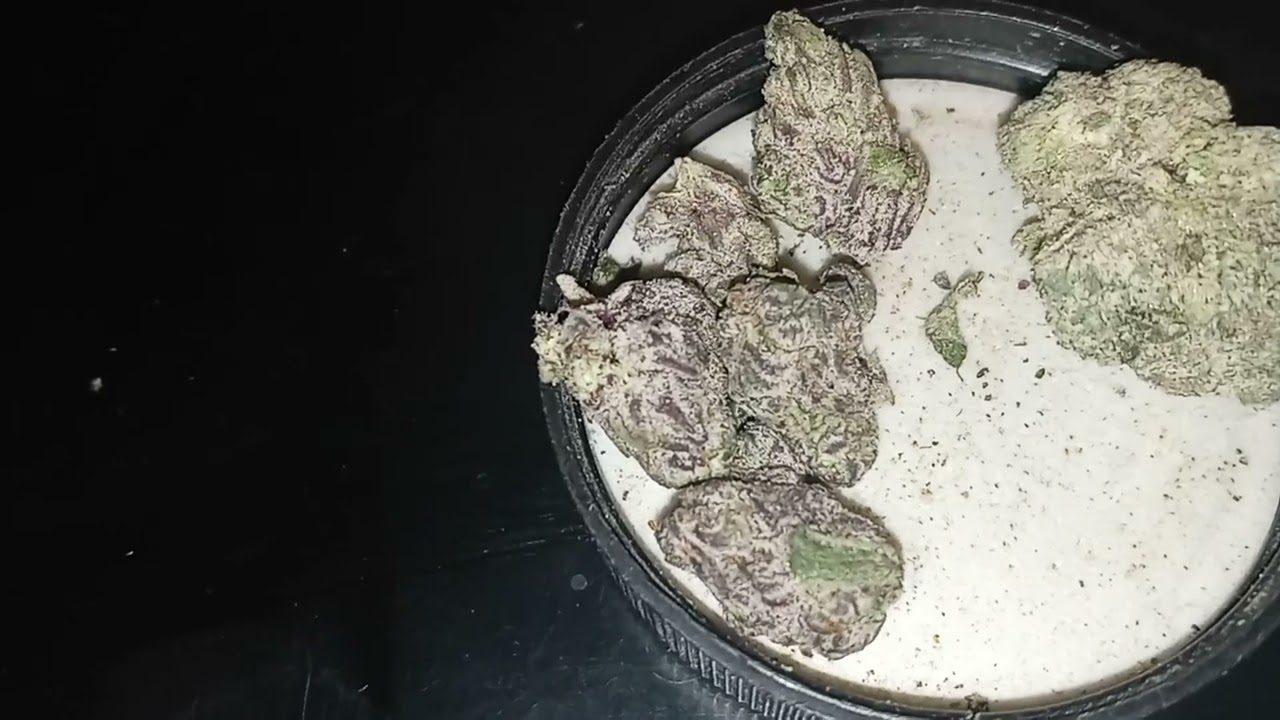 Bubblegum Gelato vs Gelato X High Octane strain's review