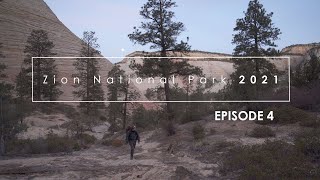 Photographing Zion, Fall 2021: Episode 4