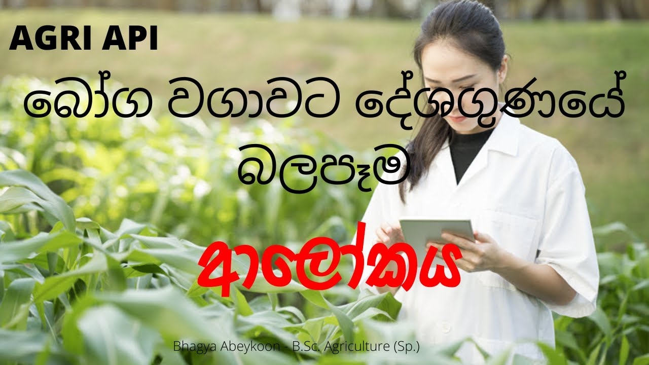 බෝග වගාවට දේශගුණයේ බලපෑම | ආලෝකය | Agri Api - YouTube