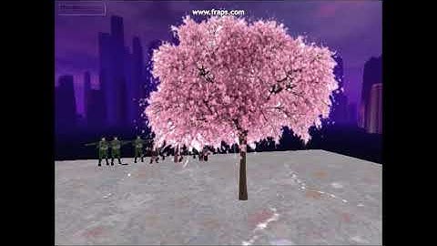 Irrlicht Final Demonstration