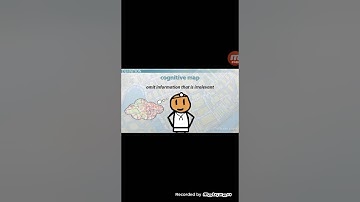 amazing video Cognitive map ( فيديو رائع عن الخريطة المعرفية)