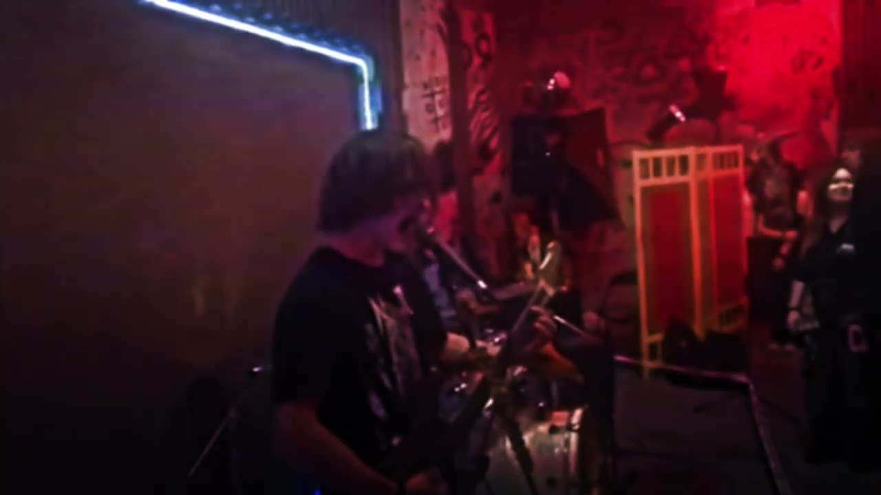 Pure blood (Cover, Live 29.08.2026)