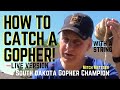 How to Catch a Gopher using only String