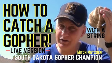 How to Catch a Gopher using only String