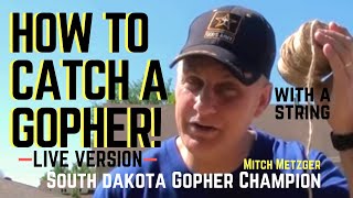 How to Catch a Gopher using only String