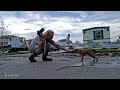 Rescuing People &amp; Pets After Hurricane Ida - Help Us Adopt Ashland North Mobile Home Park