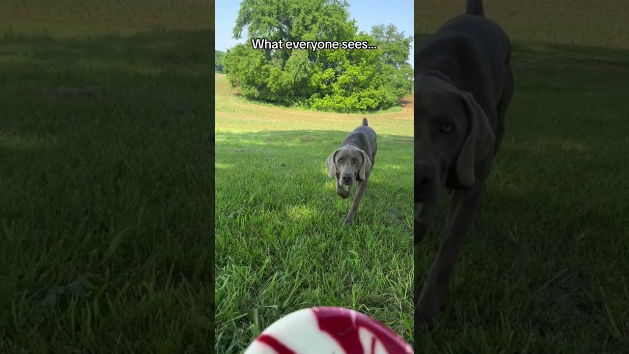 They grow up too fast 🥺. 