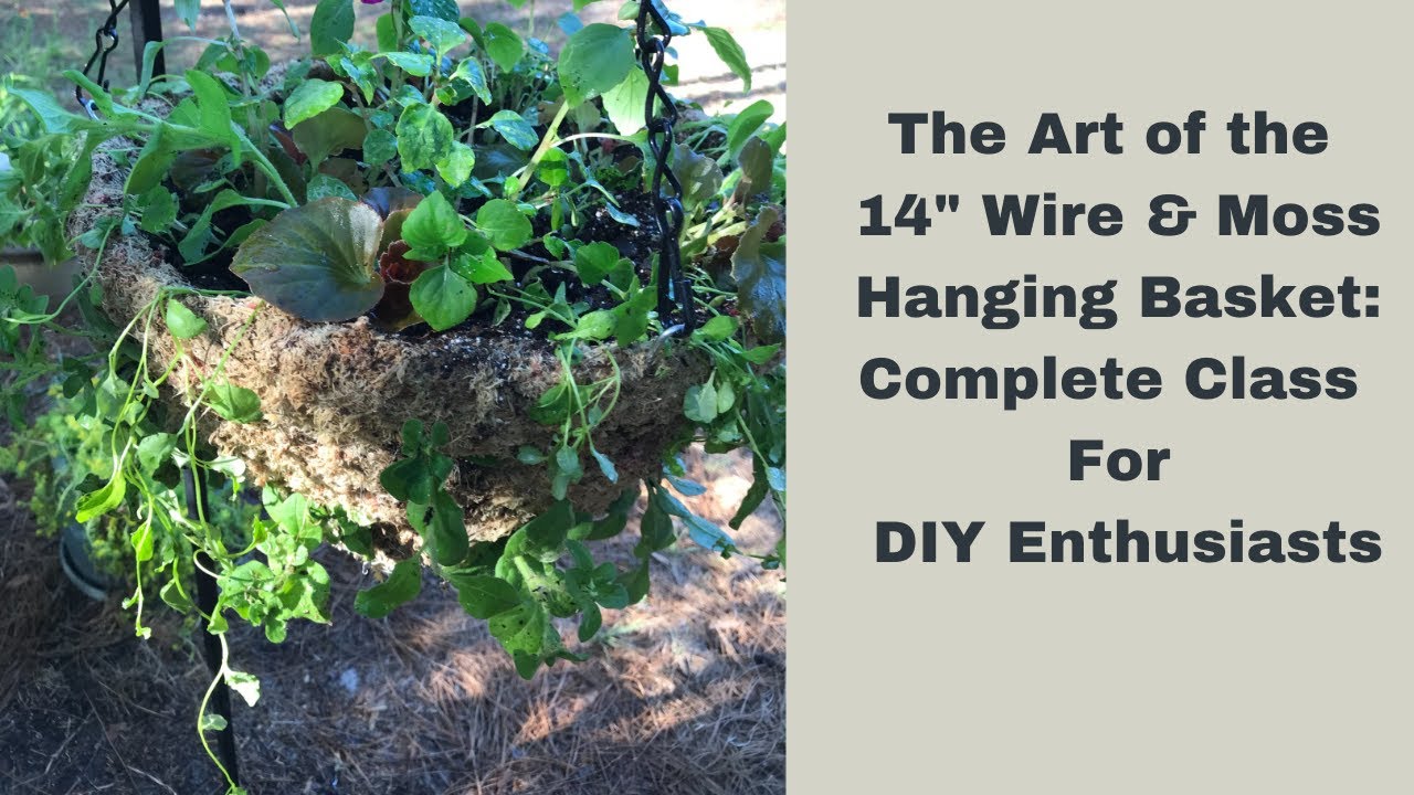 How I Make A Wire And Moss Hanging Basket YouTube how-i-make-a-wire-and-moss-hanging-basket-youtube