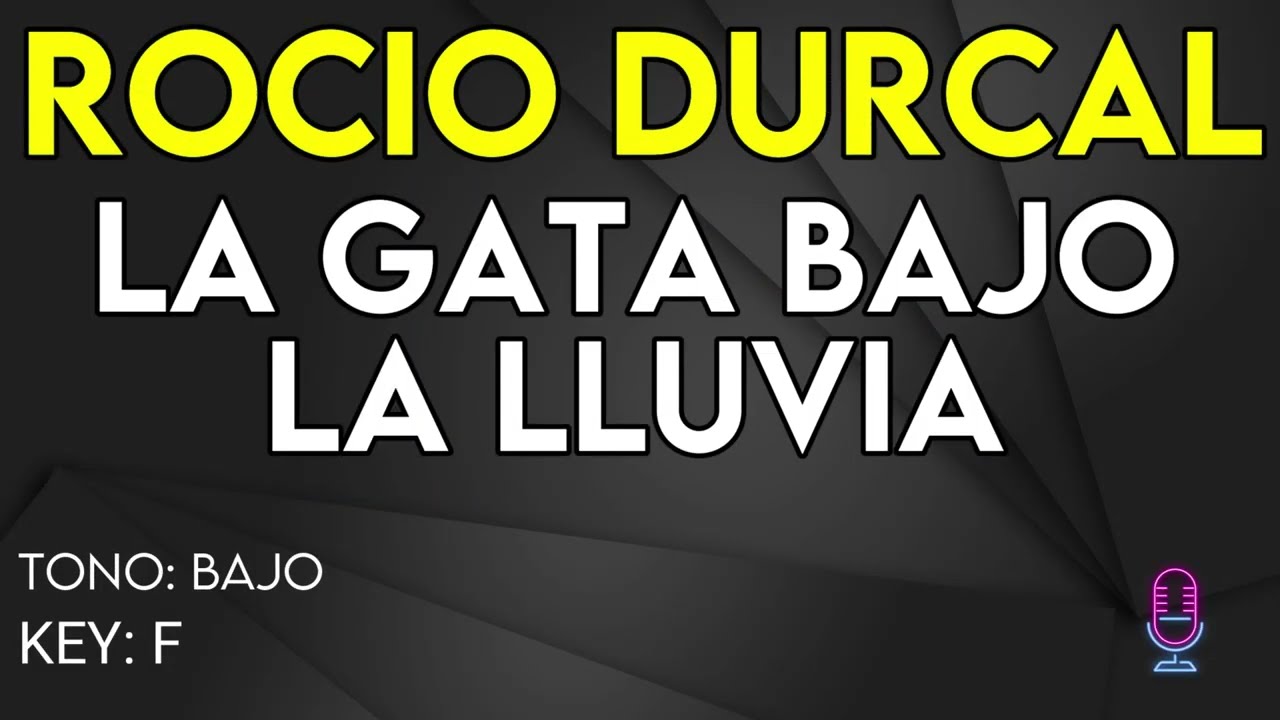 Rocio Durcal - La Gata Bajo La LLuvia - karaoke Instrumental - Bajo