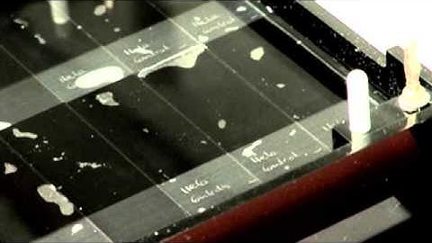 Comet Assay Introduction