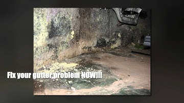 MasterShield Gutter Guard