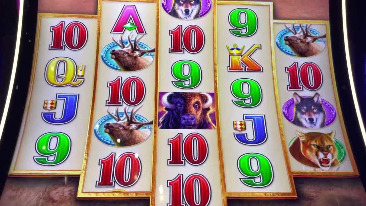 Buffalo Diamond chasing the big one! Bonus #2!