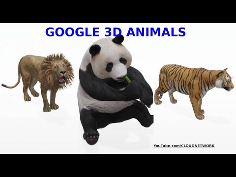 Google 3D animals list: Lions, tigers, dinos and more! - 9to5Google