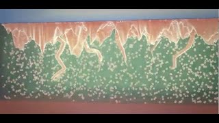 Inside Lithium Battery lecture -- dendrite formation  --  charge/discharge  & natural recovery
