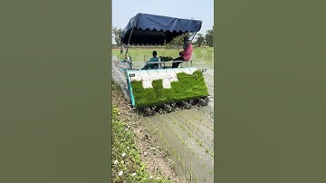 paddy transplanter machine #shorts #agriculture #farming
