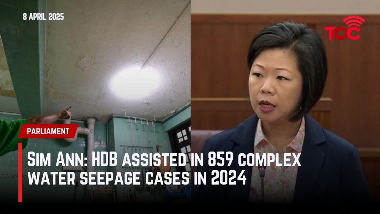 Sim Ann: HDB assisted in 859 complex water seepage cases in 2024 - YouTube