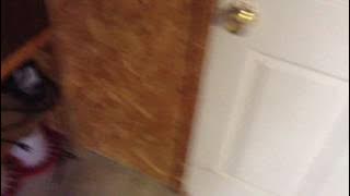 Download lagu fuck you snow