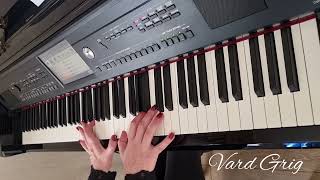 Schindlers’List~piano version Vard Grig