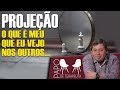 O que é meu que vejo no outro -  Projeção