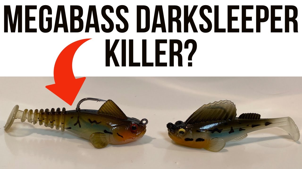 Megabass Dark Sleeper VS Bass Pro Shops Mean Eye Swimmer 