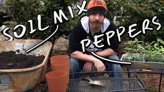 Garden Vlog: Repotting The Peppers