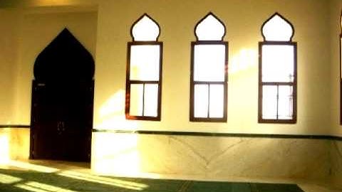 منتهى الخشوع في تلاوة الشيخ ثامر الزير لسورة العاديات