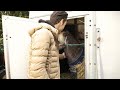 MY NEW HORSE ARRIVES|| MATT HARNACKE