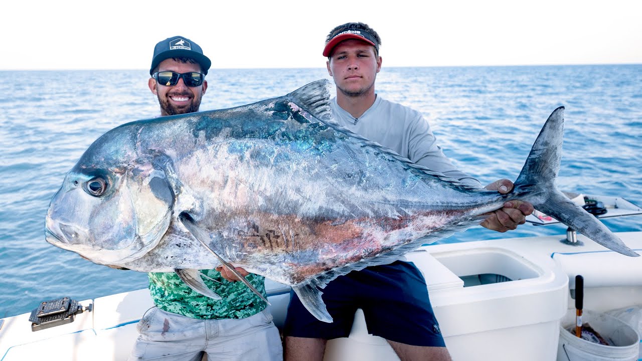 MASSIVE African Pompano & Amberjacks 