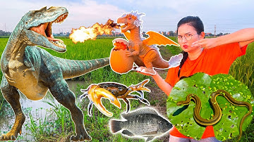 Changcady nhấc rọ bắt con cá, con cua và tìm kiếm khủng long chiến đấu |Khung log - Part 83