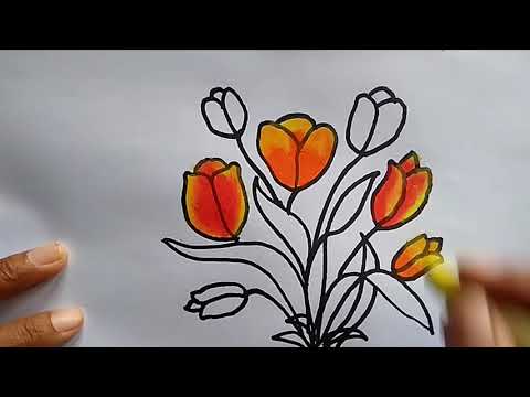  Cara  Menggambar  Bunga  Tulip  YouTube