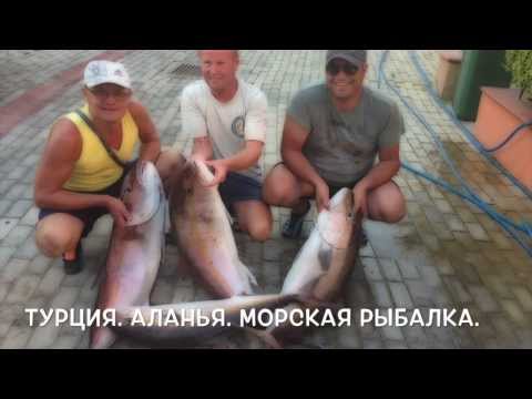 Морская рыбалка в алании турция Морская рыбалка в алании турция