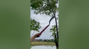 Tôi làm con rựa phát rẫy bằng thép vòng bi máy bay chặt cây như chặt chuối vậy