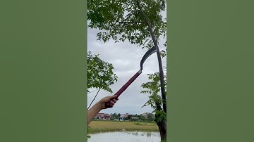 Tôi làm con rựa phát rẫy bằng thép vòng bi máy bay chặt cây như chặt chuối vậy