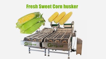 Fully Automatic Fresh Sweet baby Corn skin Sheller Maize Huller Peeling shucking Husking Machine