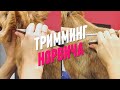 ТРИММИНГ НОРВИЧА/ НОРВИЧ ТЕРЬЕР/ Эпизод МАСТЕР-КЛАССА