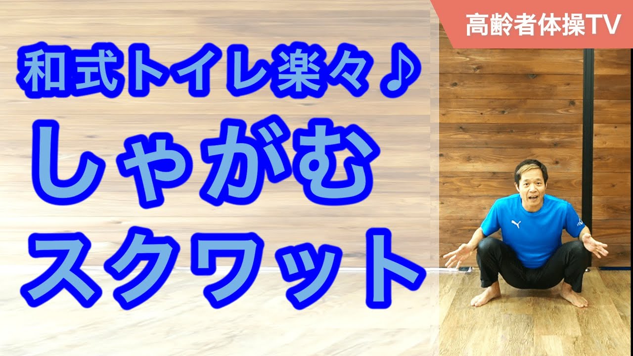 和 式 トイレ しゃ がめ ない