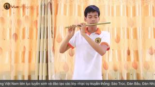 VS3C5.0458 - Test sáo vuanhaccu.com