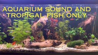 Can't sleep? In pain? Listen to the aquarium sound and watch our little friends move around.